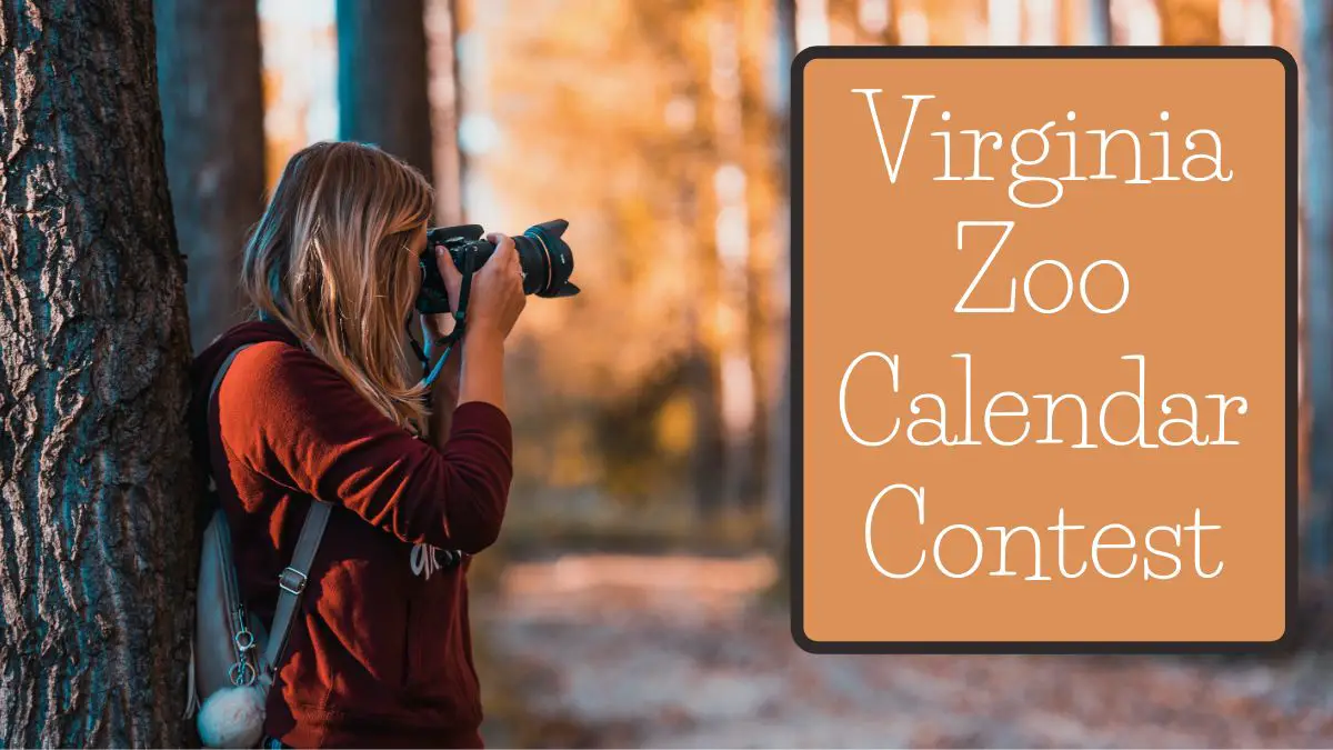 Virginia Zoo Calendar Contest
