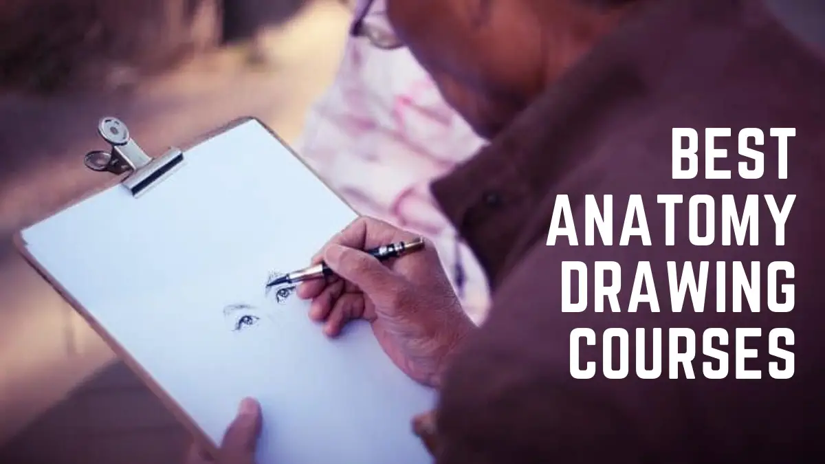 Anatomy Admissions, Courses and Scholarships 2022 2023