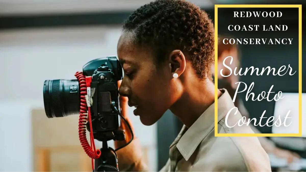 Redwood Coast Land Conservancy Summer Photo Contest