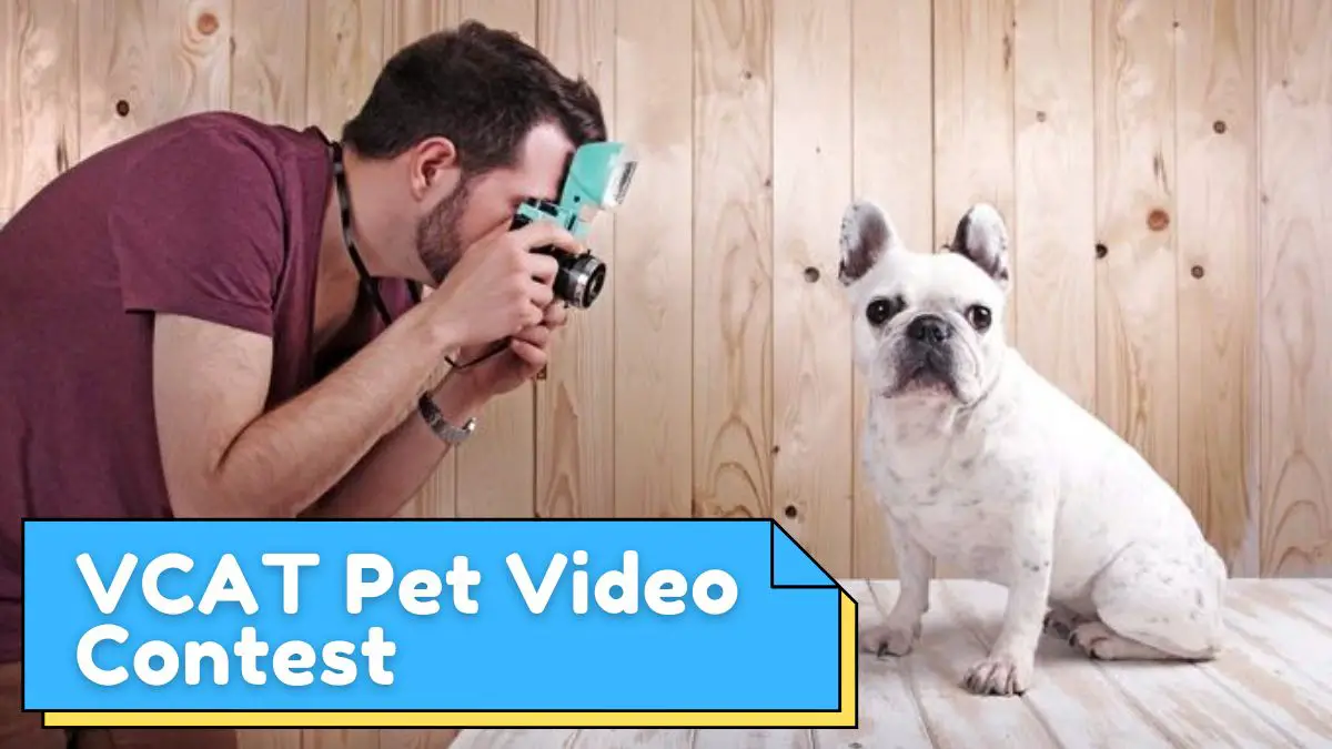 Vallejo Access Community Television Pet Video Contest