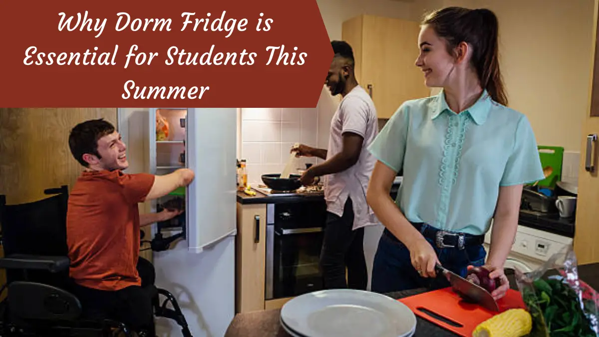 Why Dorm Fridge is Essential for Students This Summer