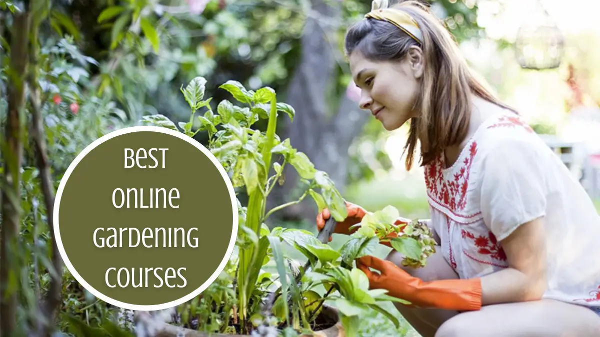 Best Online Gardening Courses