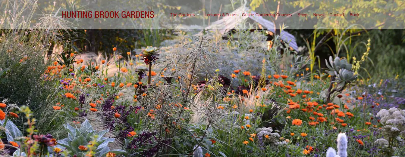 Best Online Gardening Courses