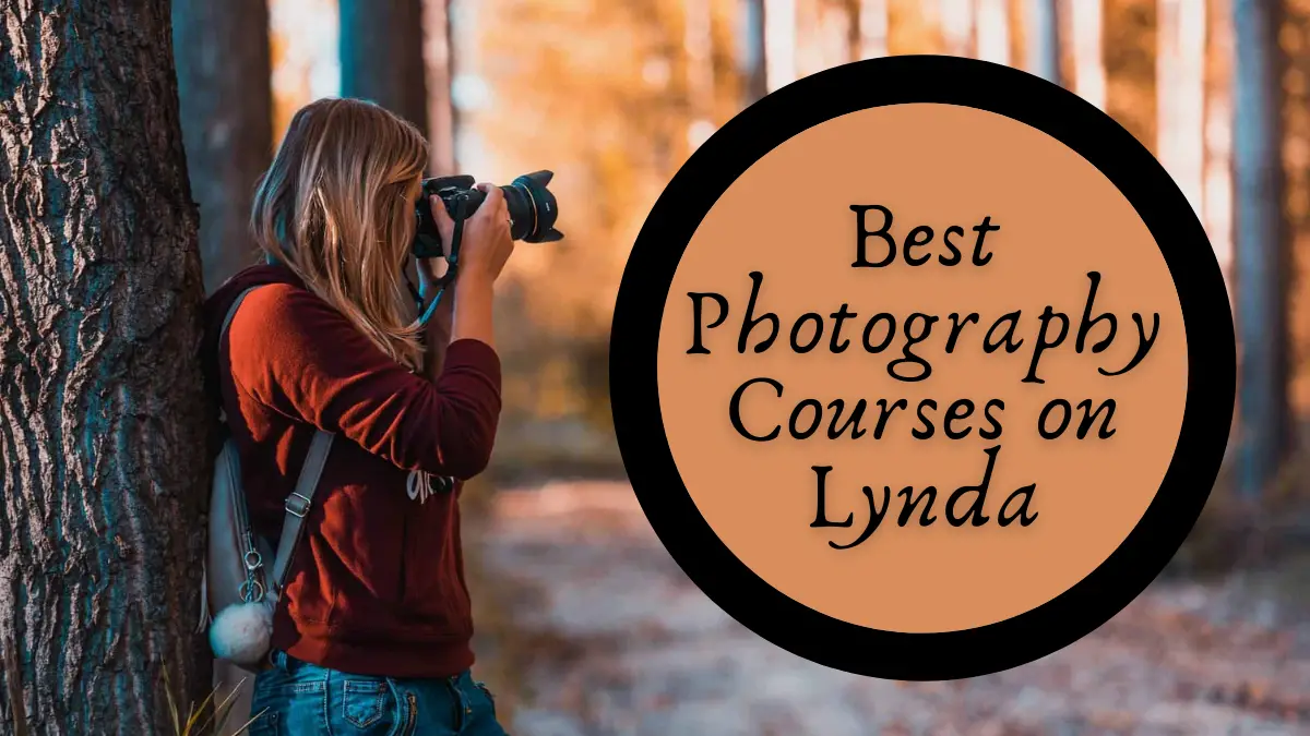 Best Photography Courses on Lynda