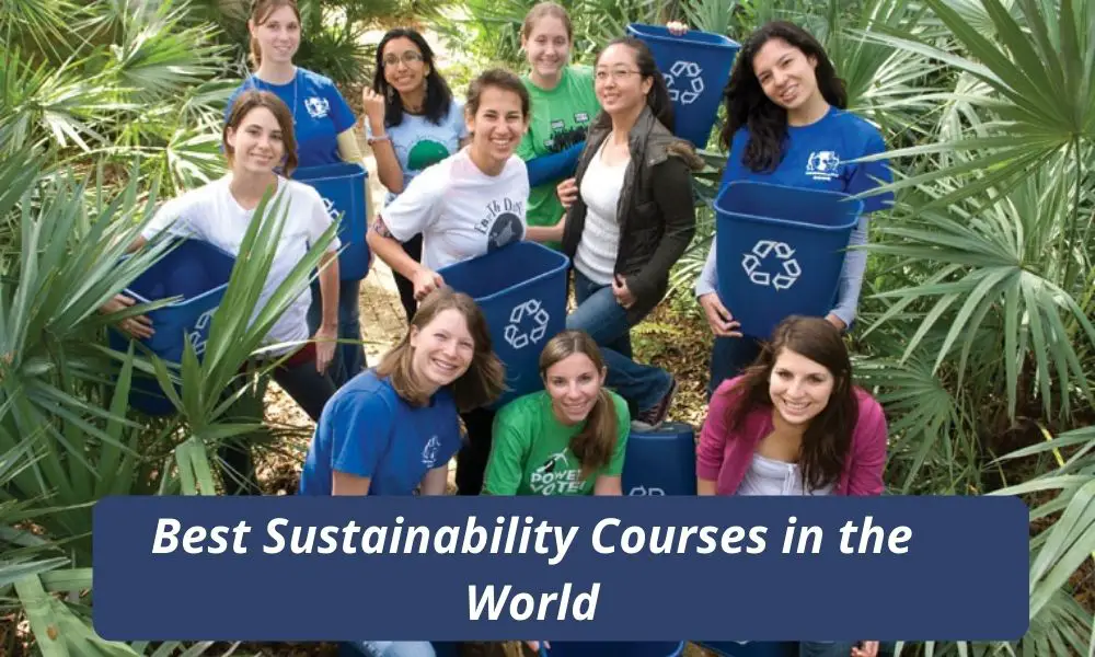 Best Sustainability Courses in the World