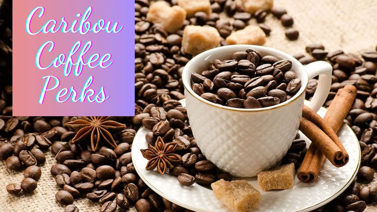 Caribou Coffee Perks