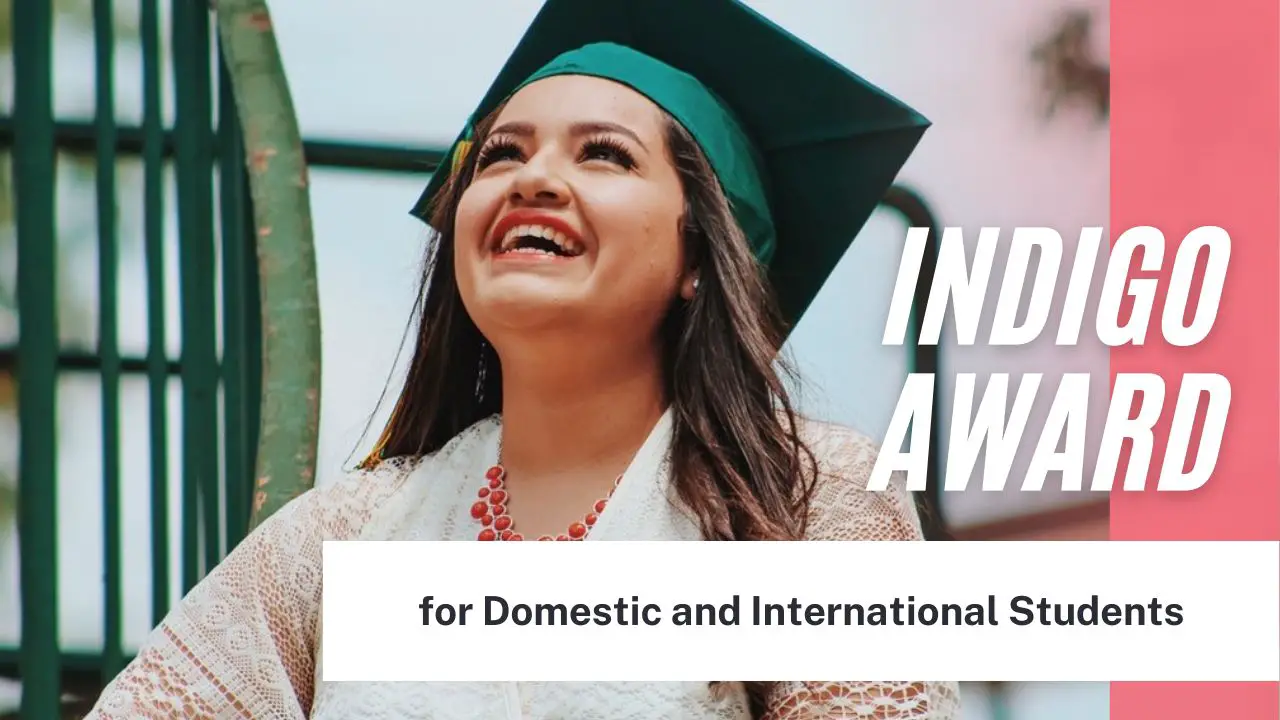 Indigo Award for Domestic and International Students