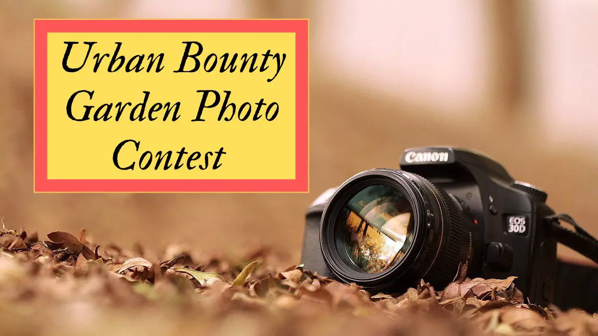 Urban Bounty Garden Photo Contest 2021