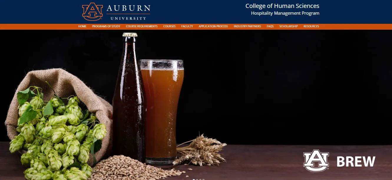 Best Online Brewing Courses