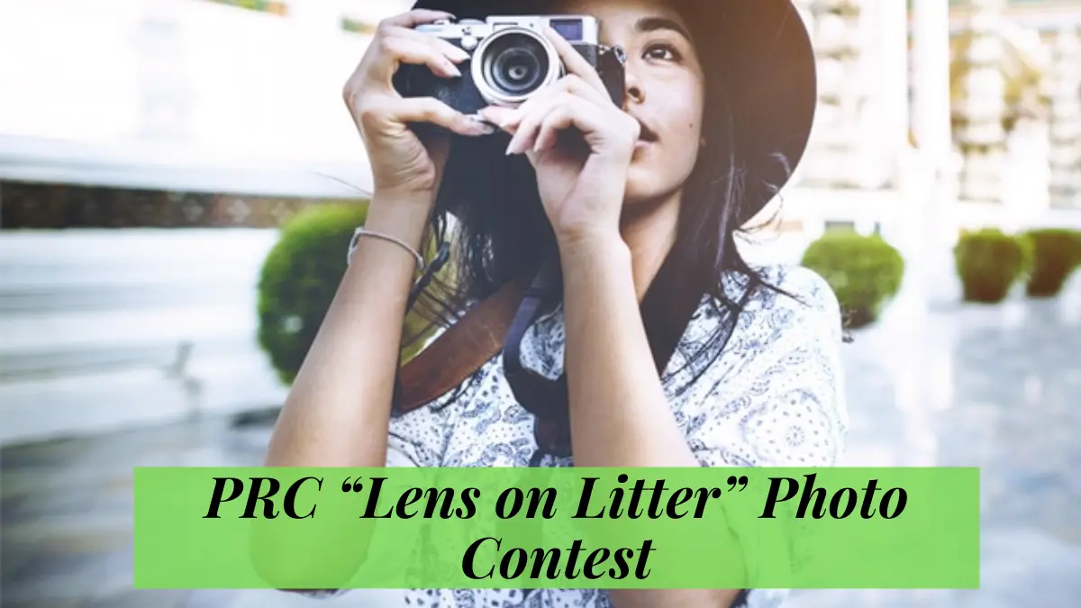 Christmas Tree Decorating Contest