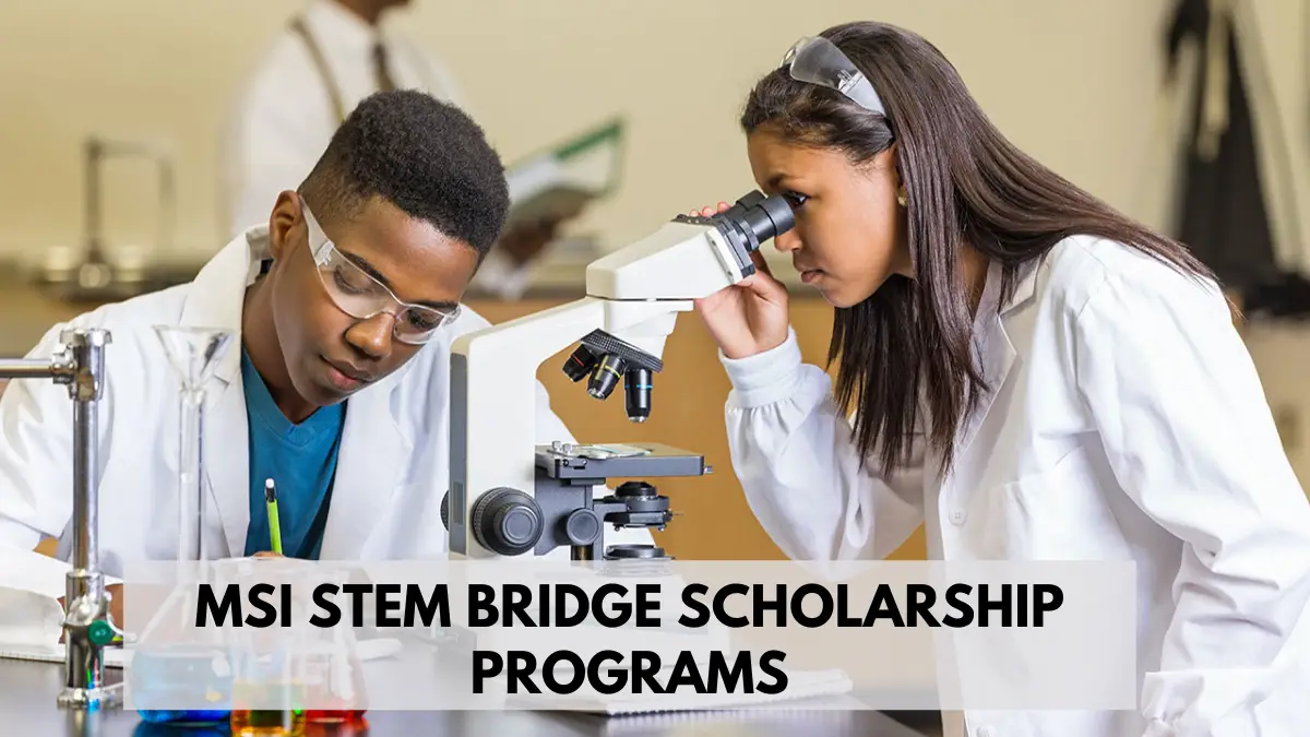 MSI STEM Bridge Scholarship Programs