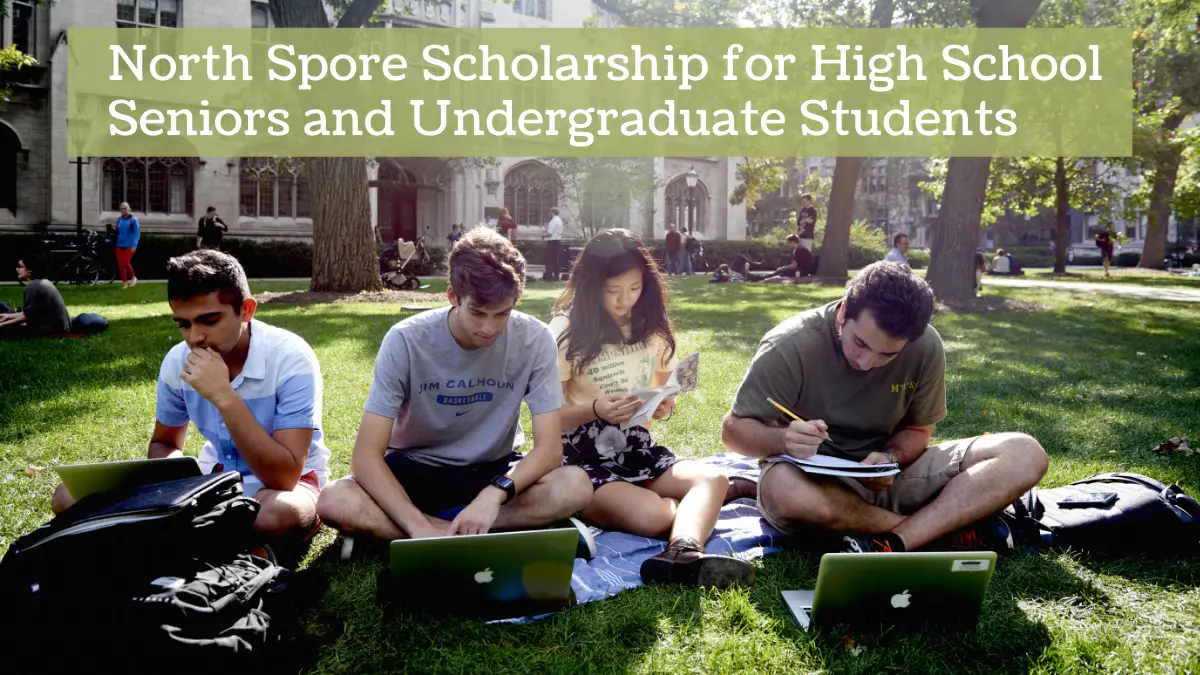 North Spore Scholarship for High School Seniors and Undergraduate Students