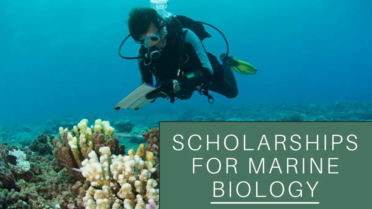 Scholarships for Marine Biology