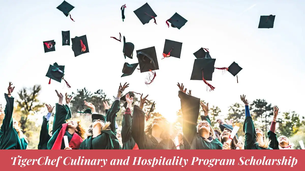 TigerChef Culinary and Hospitality Program Scholarship