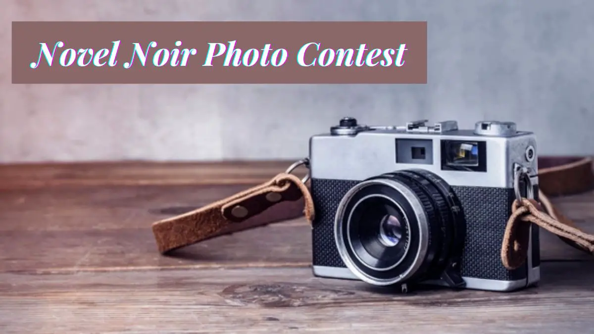 Novel Noir Photo Contest