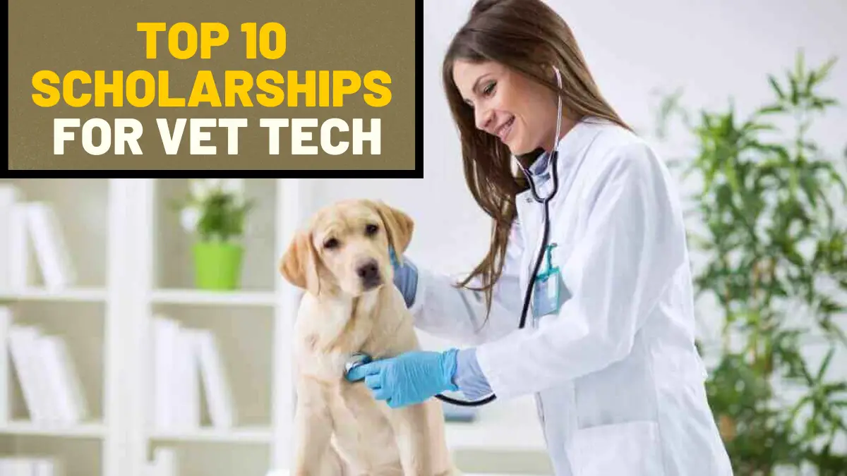 Top 10 Scholarships for Vet Tech