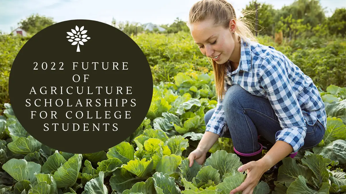 2022 Future of Agriculture Scholarships for College Students