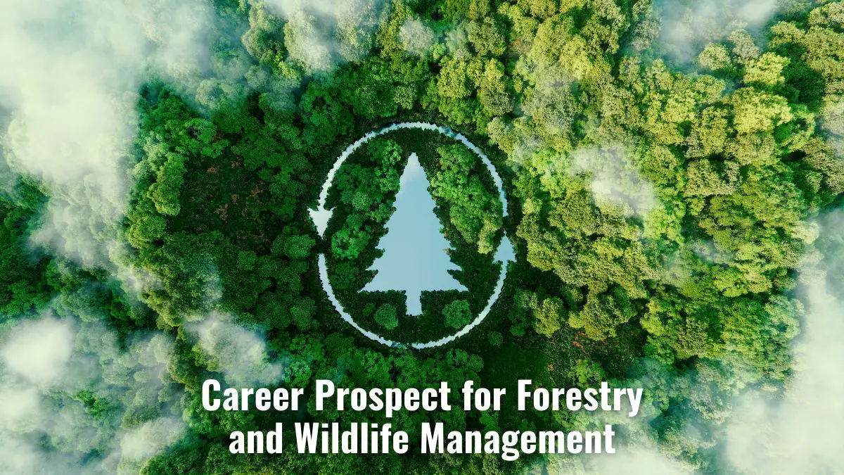 Career Prospect for Forestry and Wildlife Management 5
