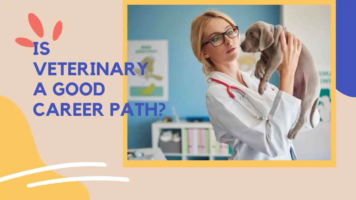 Is Veterinary A Good Career Path