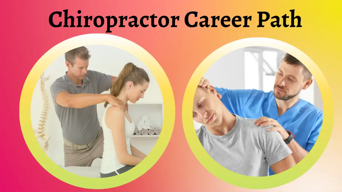 Chiropractor Career Path