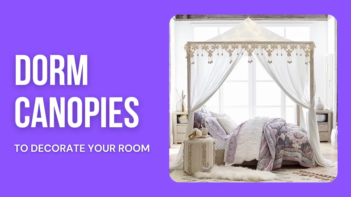 Dorm Canopies to Decorate Your Room