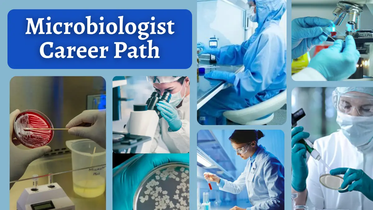 Microbiologist Career Path