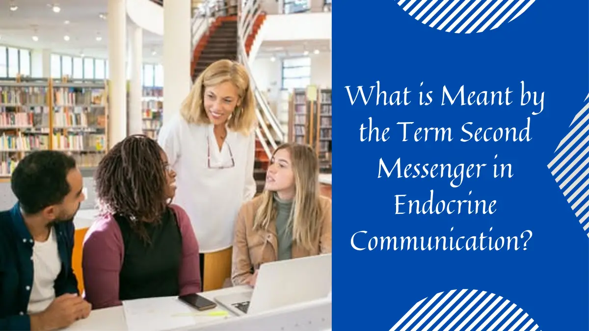 What is Meant by the Term Second Messenger in Endocrine Communication