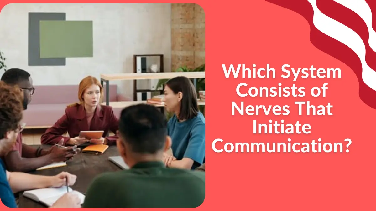 Which System Consists of Nerves That Initiate Communication?