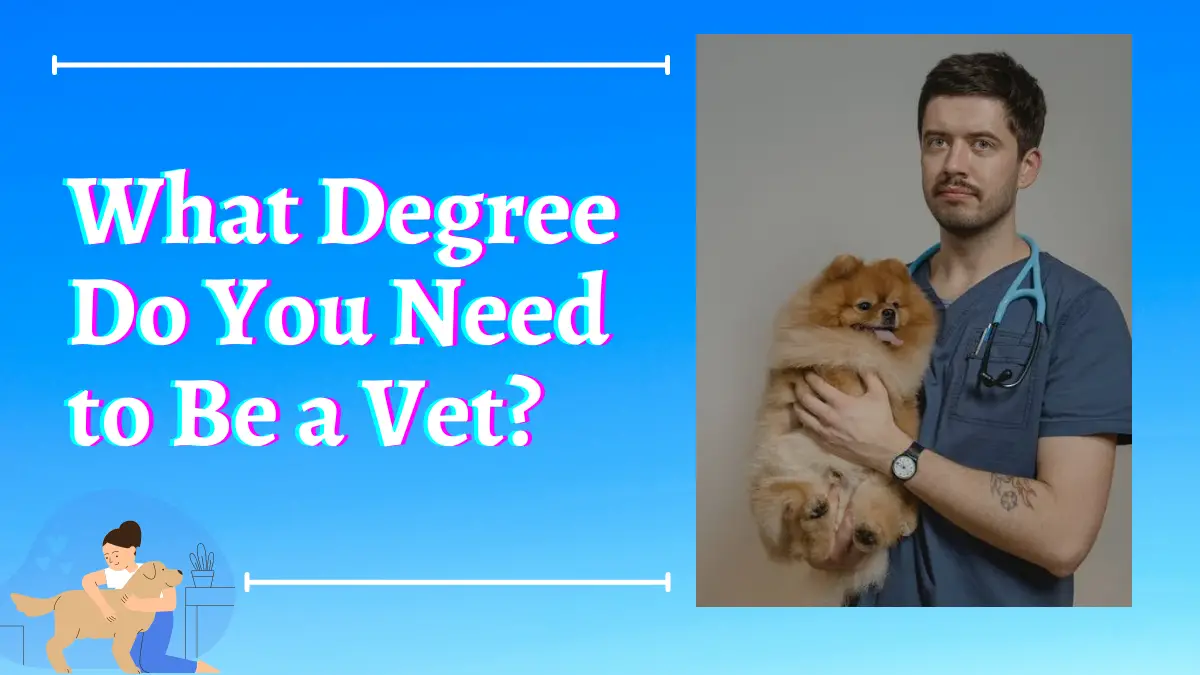 What Degree Do You Need to Be a Vet