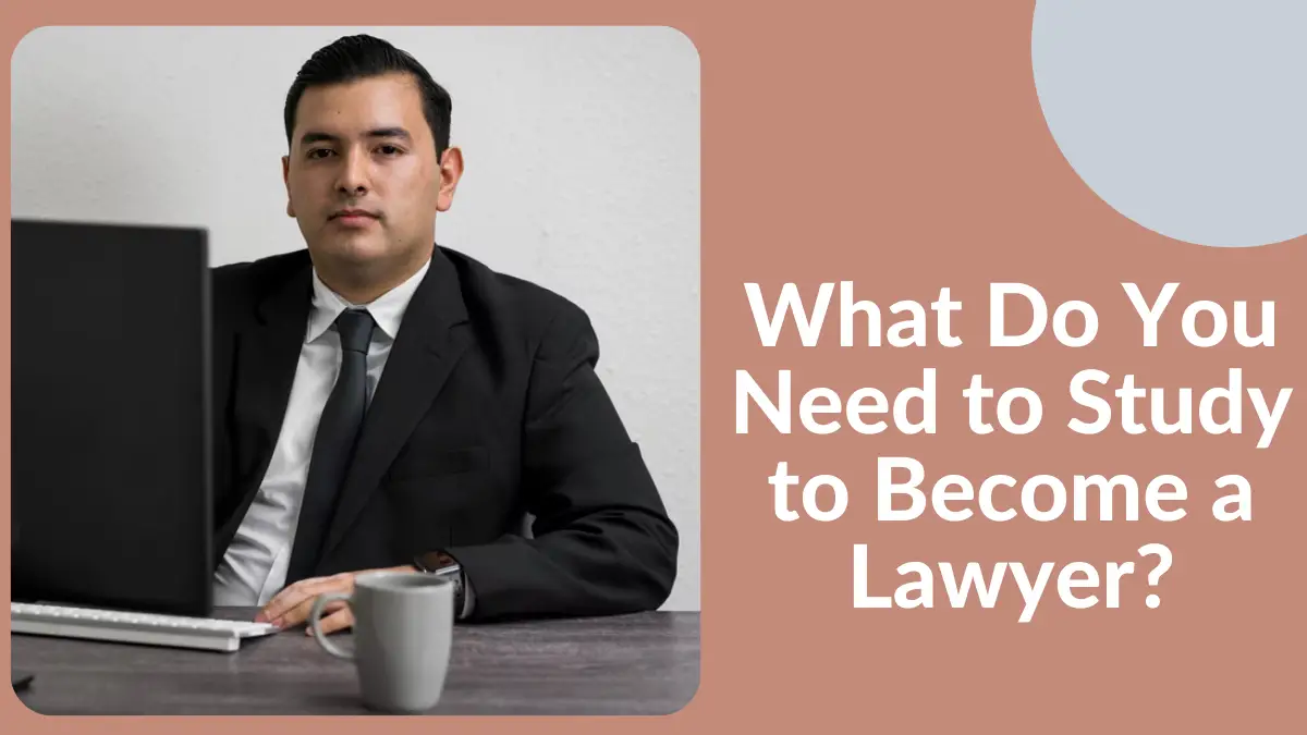 What Do You Need to Study to Become a Lawyer?