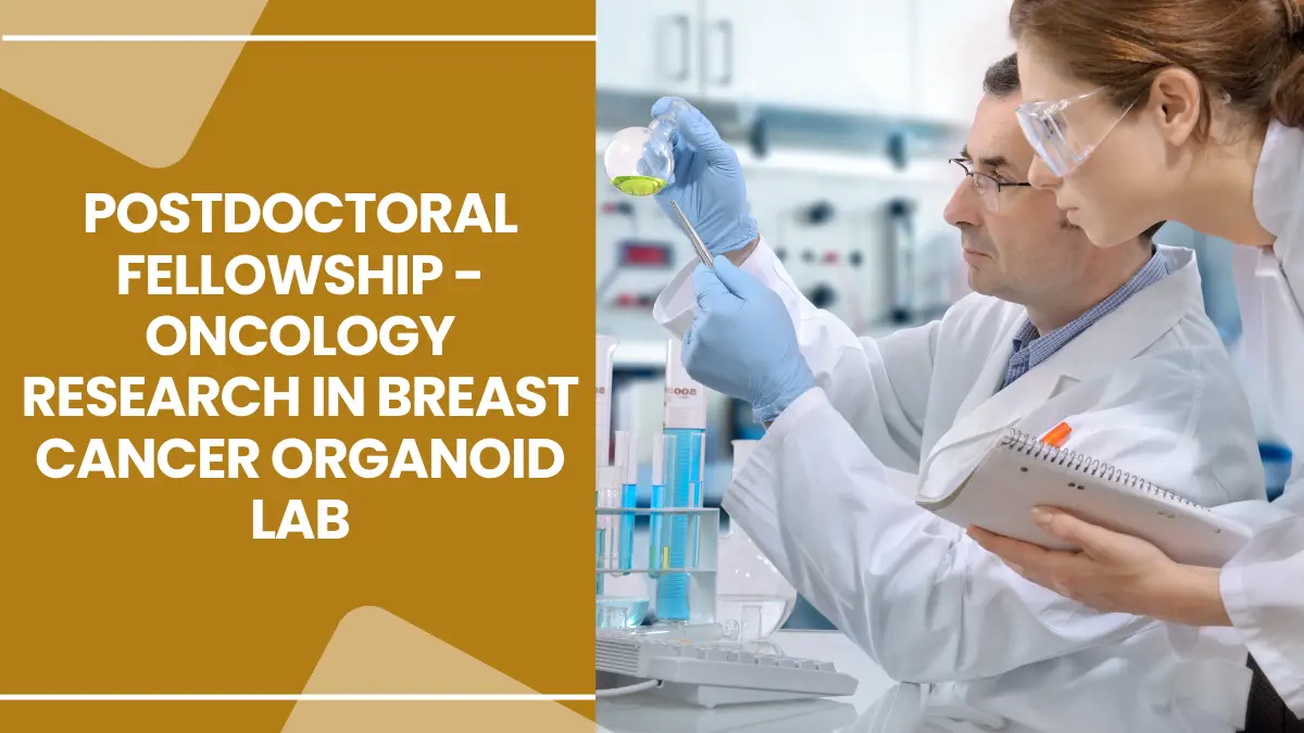 Postdoctoral fellowship - Oncology research in breast cancer organoid lab